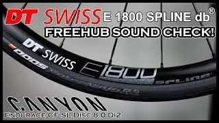2020 Canyon Endurace CF SL 8.0 Freehub Sound Check!