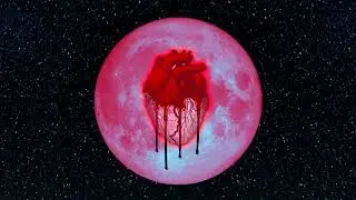 Chris Brown - Hope You Do (Audio)
