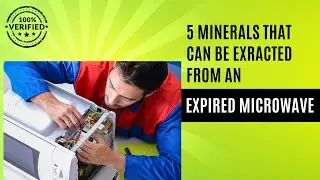 Revealed: The 5 Minerals You Can Extract from Your Old Microwave!