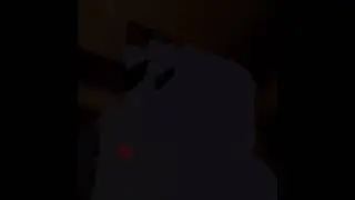 I found a vrchat guinea pig