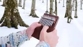 Footsteps in the Snow - Francesco Fasanaro