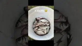 один день из жизни Рыбы 😀