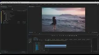 Dust, Scratches and Film Burns | Premiere Pro | Tutorial