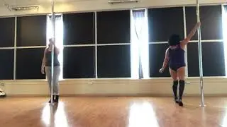 Pole Cat Friday  1/24/20