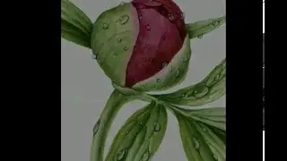 PAINTING WATERDROPS