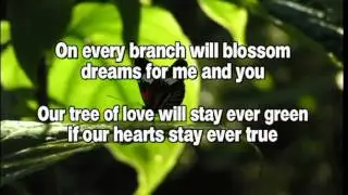 Karaoke-Evergreen Tree-(Cliff Richard) (MMO)-Lanny Shum 岑南羚 version mpg