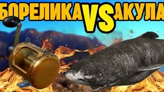 🟡 РР4┃🔥 КАТУШКА БОРЕЛИКА ПРОТИВ КРУПНОЙ АКУЛЫ!┃maXS1k