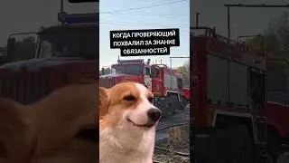 СПТ К ПРИМЕРУ 🤣 