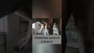 Хочу в отпуск а они не отпускают😭😭😭😭