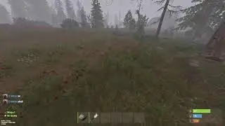 rust ¿? kewrkewrkewrkewrk