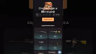 открыл кейс в GGстандоф