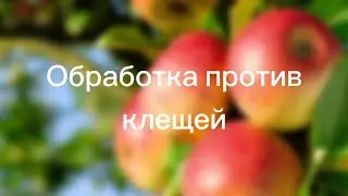 Обработка против клещей