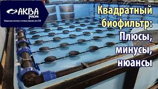 Плюсы и минусы квадратного биофильтра в УЗВ 