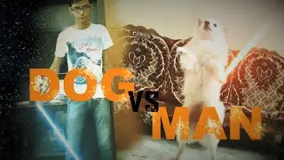 Dog vs Man: Dog fight with lightsaber funny video 2016