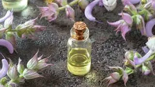 Explore Clary Sage Essential Oil Online | Major Uses and Benefits | Aarnav Global Exports