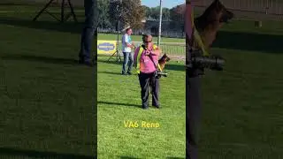 BSZS 2023 VA6 Reno v. Angelius Team,     (*Nero v. Ghattas - *Nera du Val D’Anzin). #bszs #sv #gsd