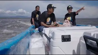 Scouting and meal distribution methods in Acapulco after Hurricane John