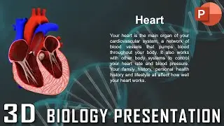 3D Presentation Using Morph Transitions  Biology PowerPoint Presentation