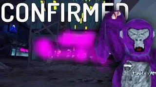 Gorilla Tag's NEXT UPDATE...(CONFIRMED)