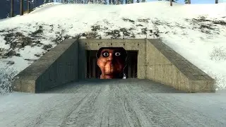 It followed me...