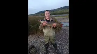 Красивая рыбалка в Мысках и очень хороший клев