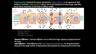 pharm3 - Drug action, Pharmacokinetic Principles, Pharmacology