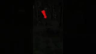 Car VS Player! 