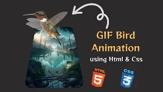 Gif Bird Animation using Html & Css with source code