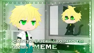 |🌱•Посмотри в зеркало, что ты видишь?•🐾|🍃•meme•🖤|🌿•Adrien Agreste•✨|💚
