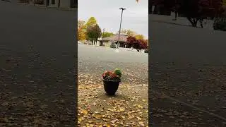 How great is our God! #shortvideo #fall