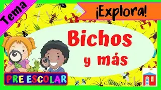BICHOS Y MAS #Aprendeencasa Preescolar