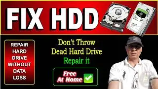 Don’t Throw Away Your Dead Hard Drive | Repair It Without Losing Data!