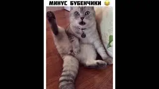 А где мои бубенчики?!🤣🔞 | Лучшие приколы 2021