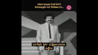 Tatlıses ve Kırmızıgül arasındaki rekabet, Prestij Müzik - İdobay cepheleriyle birlikte kızışmıştı..