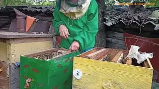 +1 Рой, думаю хорош по силе будет
