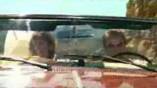 Born to be wild....