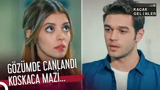 #Şebsel