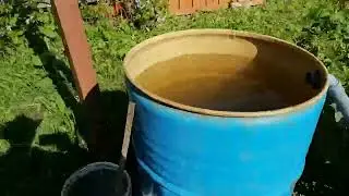 Основная подкормка. Без химии.