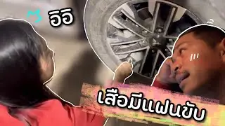 เป็นทุกอย่างให้เธอแล้ว❗️เสือขายช้างให้โซ่ชื่อพลาย...😊