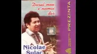 Nicolae Sulac - Foaie verde sălcioară