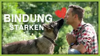 CAUTION when cuddling with your dog: How much is good?