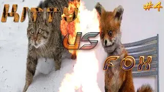 Strikeforce kitty 2 - #4