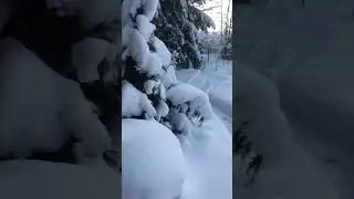 Зима 🥶