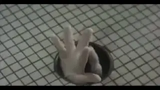 4IT