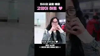 고양이 하트를 글로 배우면 이렇게 됩니다 #블랙핑크 #지수