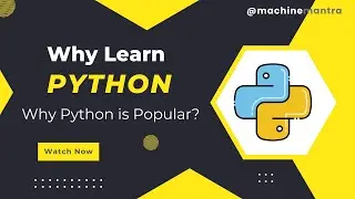 Why Learn Python? Why is Python So Popular? Python
