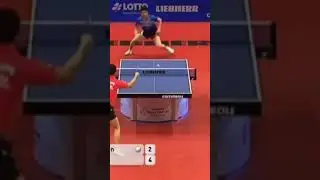 Table tennis rally 