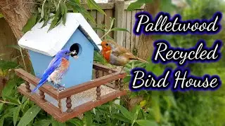 DIY Bird House Bird Feeder