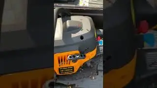 Ants on a chainsaw spring cleaning