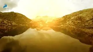Умайр ибн Саад
